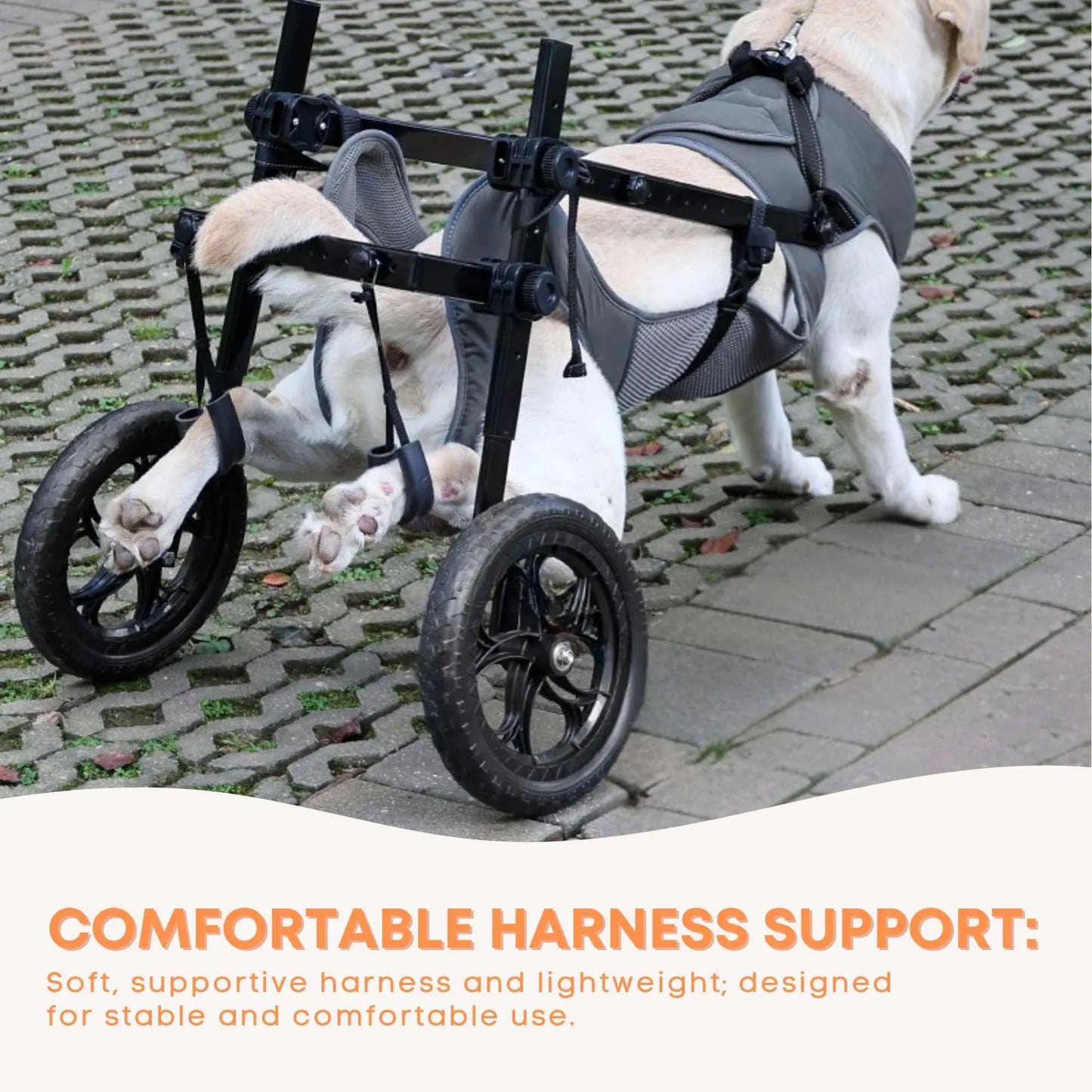 Hlpmedical Rooster Farms large dog wheelchair XL harness with adjustable back leg aid, designed for pet mobility support.