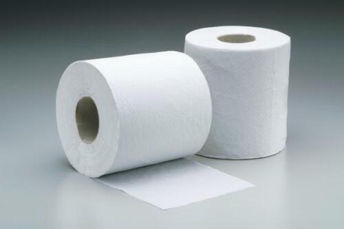 Toilet Rolls 2Ply - 48 Pk - 400 sheet
