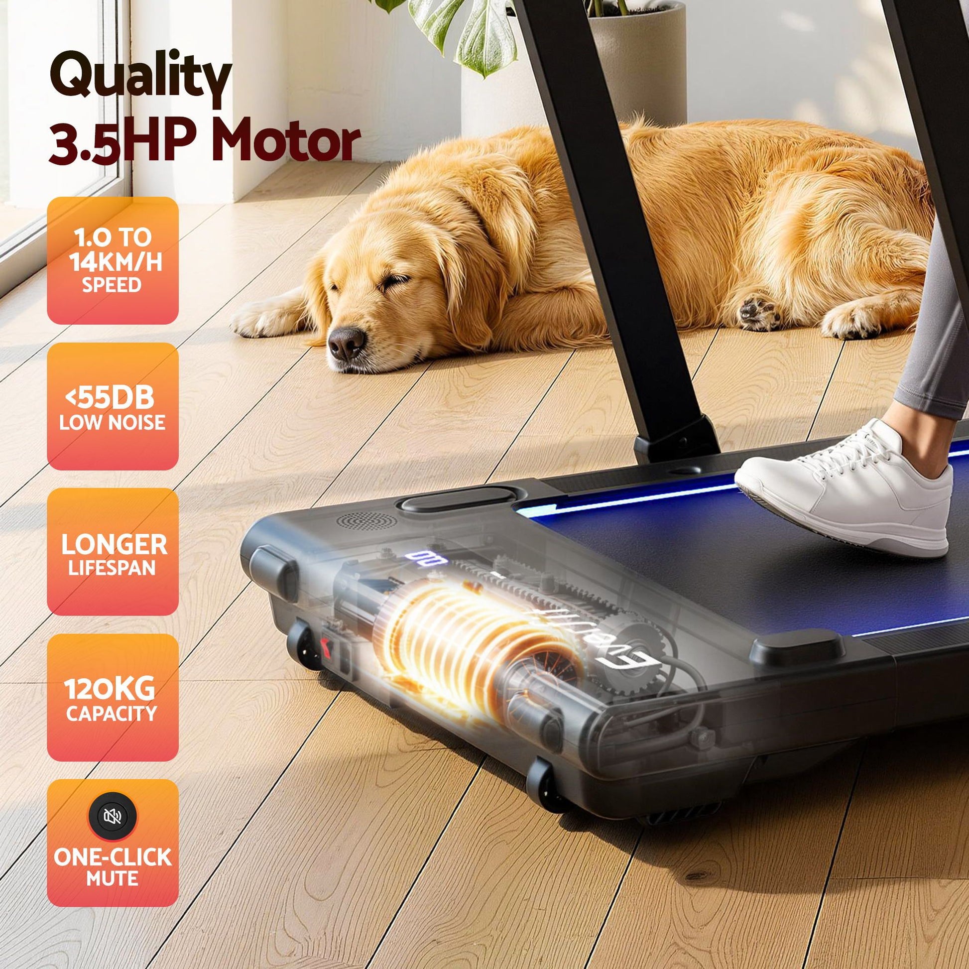 Everfit 3-in-1 foldable walking pad treadmill with LED lights, black, 40cm wide belt for home gym fitness from Hlpmedical