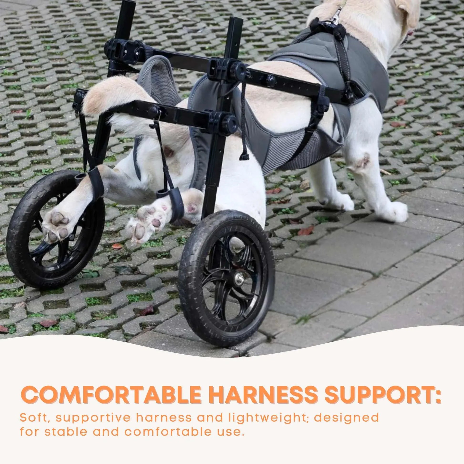 Hlpmedical Rooster Farms large dog wheelchair XL harness with adjustable back leg aid, designed for pet mobility support.