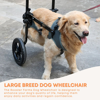 Hlpmedical Rooster Farms large dog wheelchair XXL harness with adjustable back leg aid for mobility support in dogs.