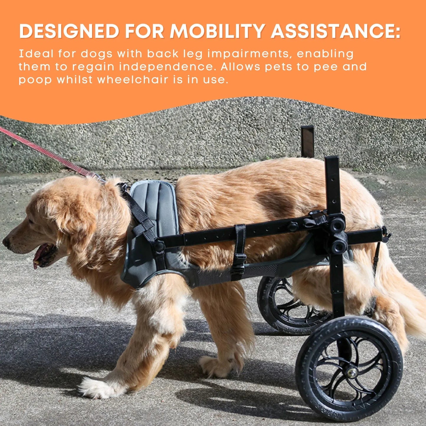 Hlpmedical Rooster Farms Large Dog Wheelchair XXL harness with adjustable back leg aid for supportive mobility assistance.