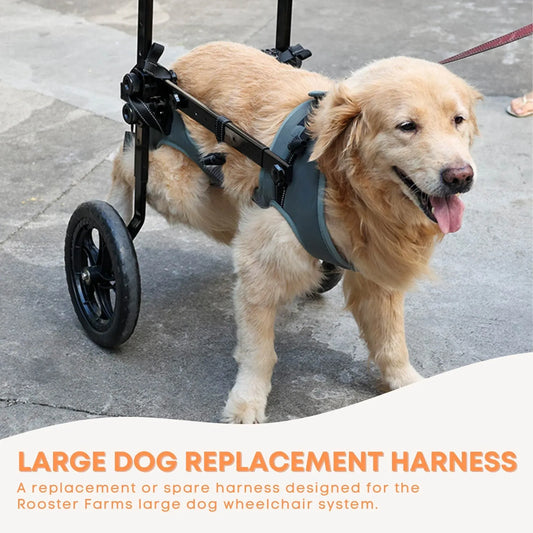 Hlpmedical Rooster Farms XXL dog wheelchair harness for large dogs up to 45kg, adjustable pet care harness on a white background.