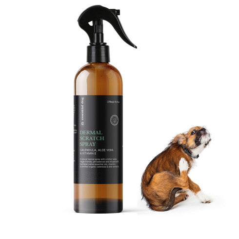 Hlpmedical Natural Anti-Itch Spray for Dogs with aloe, tea tree, and vitamin E, soothing skin and reducing scratching.
