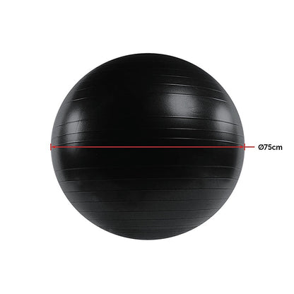 Hlpmedical 75cm static strength exercise stability ball with pump for yoga, Pilates, and fitness workouts.