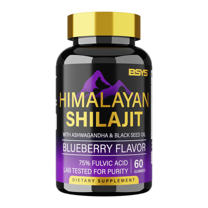 HLP Medical Supplies BSYS Shilajit Gummies supplement bottle containing 60 gummies, dietary supplement for natural wellness.
