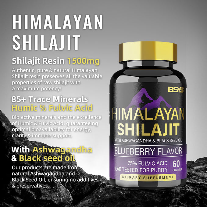 HLP Medical Supplies BSYS Shilajit Gummies supplement bottle with 60 gummies in a clear container on a white background