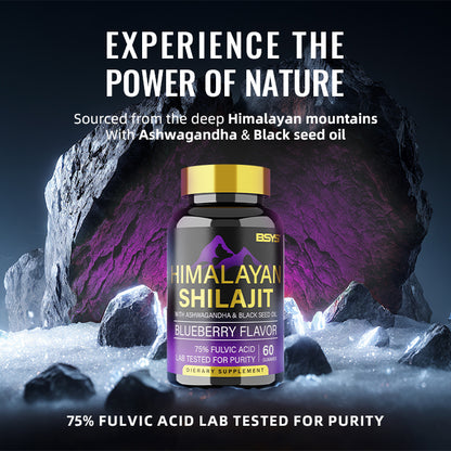 HLP Medical Supplies BSYS Shilajit Gummies supplement bottle with 60 gummies, natural herbal health supplement.