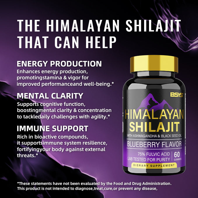 HLP Medical Supplies BSYS Shilajit Gummies supplement bottle with 60 gummies, natural herbal health supplement.