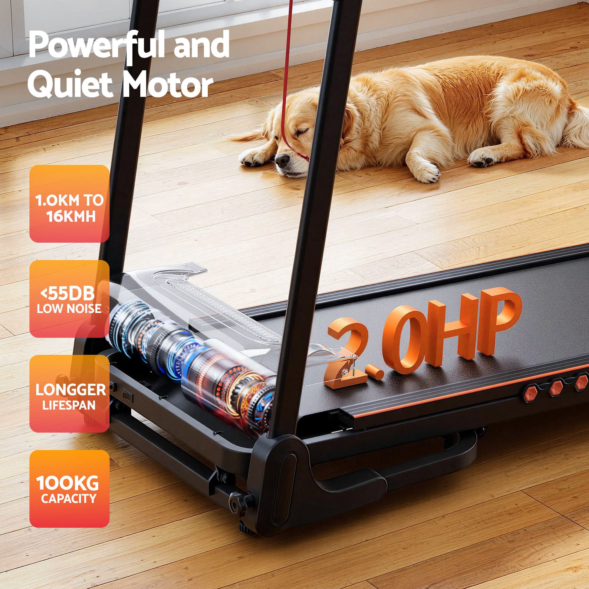 Hlpmedical Everfit electric treadmill with incline, 390mm belt width, for home gym fitness and exercise.