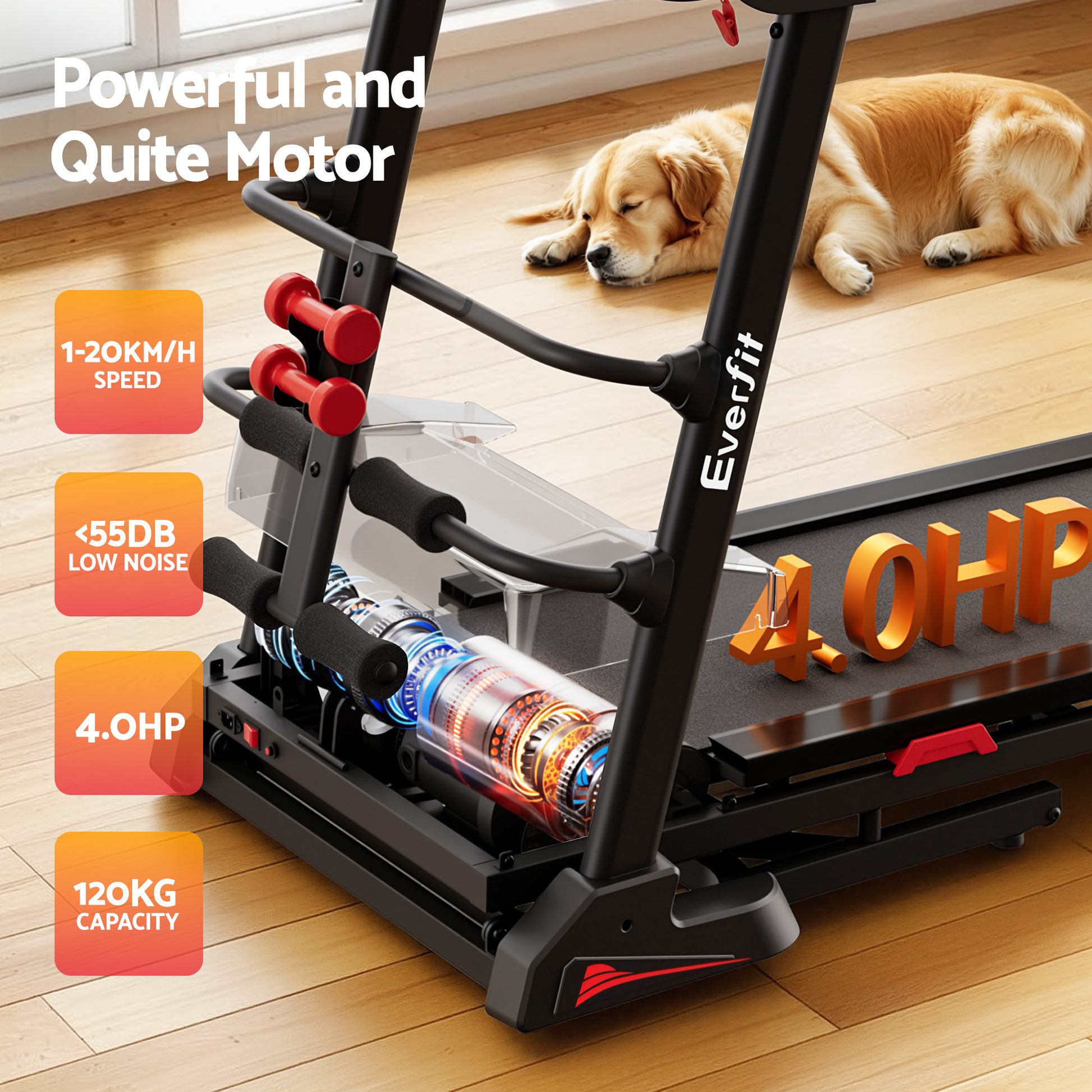Everfit electric treadmill by Hlpmedical with sit-up bar for home gym fitness, showing the running surface and control panel.